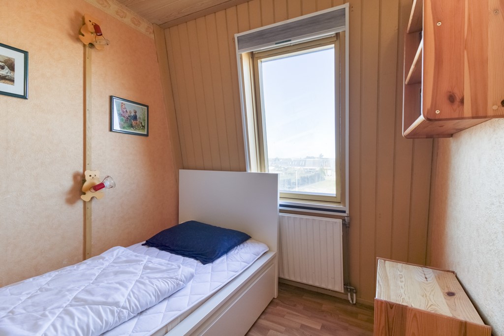 Lamsoor 3b Nieuwvliet-22.jpg